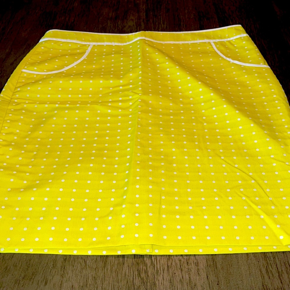 The Limited - Never worn skirt